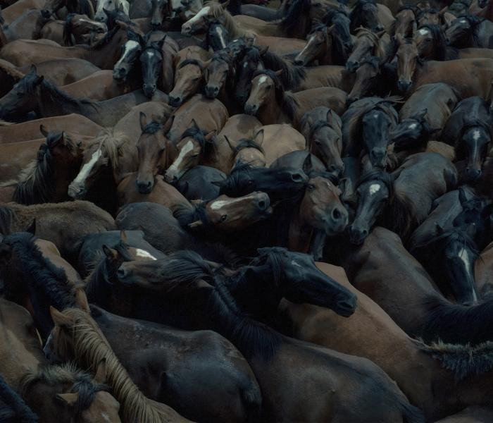 © Carlos Folgoso Sueiro, Spain, Shortlist, Professional competition, Perspectives, Sony World Photography Awards 2025