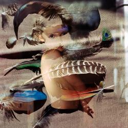 Study on Flying