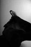 Maybe Tomorrow I'll Write a Poem