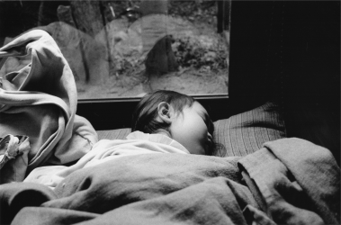 Living Photographs