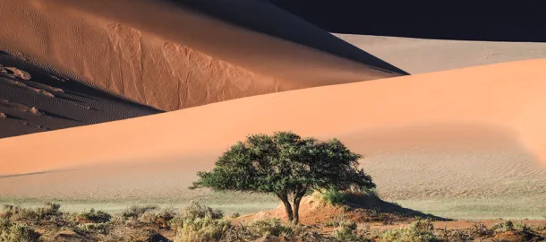 Landschaft