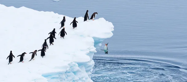 モーション